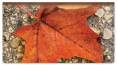 Autumn Leaves Checkbook Cover