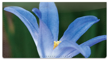 Blue Flower Checkbook Cover