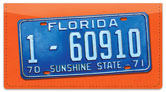 Florida License Plate Checkbook Cover