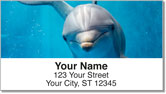 Dolphin Address Labels