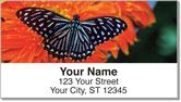 Butterfly &amp; Moth Address Labels