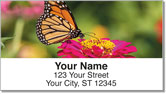 Butterfly Garden Address Labels