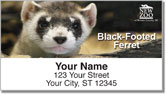 NEW Zoo Endangered Species Address Labels