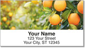 Fruit Tree Address Labels
