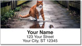Alley Cat Address Labels