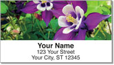 Columbine Flower Address Labels