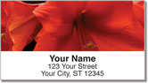 Grissom Floral Address Labels