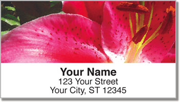 Bulone Floral Address Labels