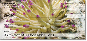 Sea Anemone Checks