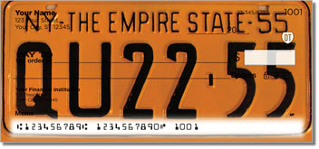 New York License Plate Checks