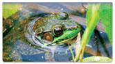 Reptiles & Amphibians Checkbook Cover