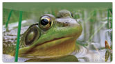 Frog Checkbook Cover