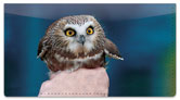 Owl Checkbook Cover
