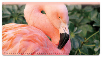 Pink Flamingo Checkbook Cover