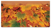 Colors of Fall Checkbook Cover
