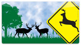 Road Sign Checkbook Cover