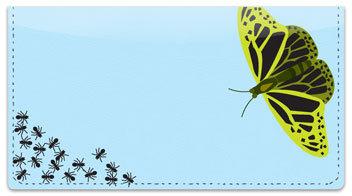 Insect Illustration Checkbook Cover