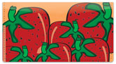 Juicy Fruit Checkbook Cover