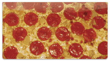 Pizza Checkbook Cover