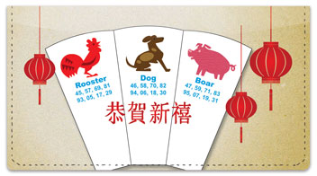 Chinese Zodiac Checkbook Cover