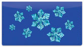 Wintry Flakes Checkbook Cover