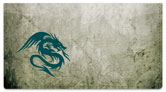 Dragon Tattoo Checkbook Cover