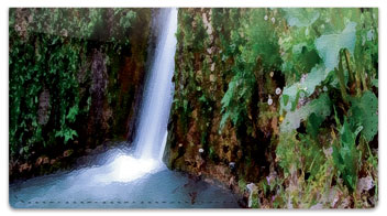 Artistic Waterfall Checkbook Cover