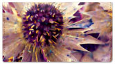 Thistle Checkbook Cover