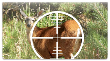 Deer Hunting Checkbook Cover