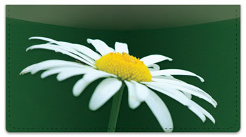 White Flower Checkbook Cover