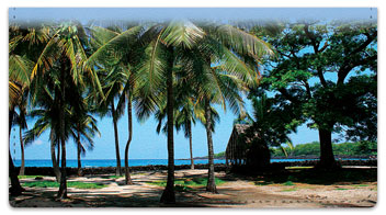 Tropical Coastline Checkbook Cover