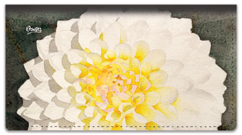 Floral Series 5 Checkbook Cover