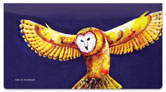 Nilles Owl Checkbook Cover