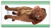 Chocolate Lab Pup Checkbook Cover