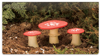 Enchanted Mushroom Checkbook Covers