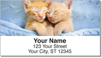 Twin Baby Animal Address Labels