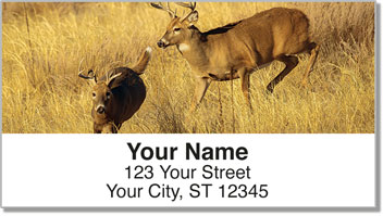 Deer Address Labels