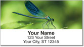 Dragonfly Address Labels