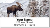 Moose Address Labels