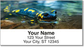 Reptile & Amphibian Address Labels