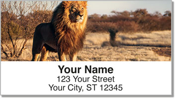Lion Address Labels