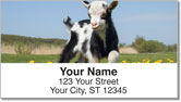 Baby Goat Address Labels