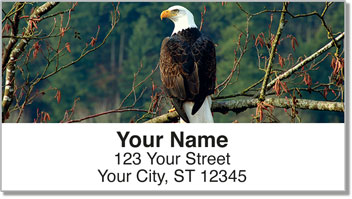 Bald Eagle Address Labels