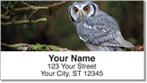 Owl Address Labels