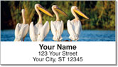 Pelican Address Labels