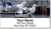 Seagull Address Labels