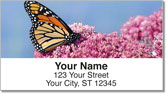 Milkweed Butterfly Address Labels