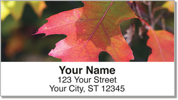 Autumn Leaves Address Labels