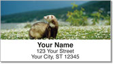 Ferret Address Labels