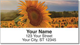 Sunflower Address Labels
